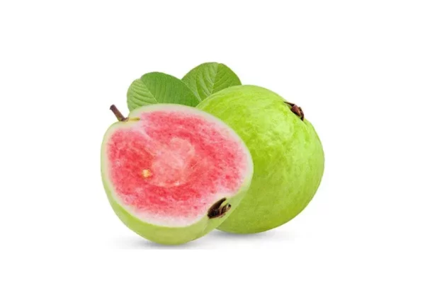 RED DIAMOND GUAVA